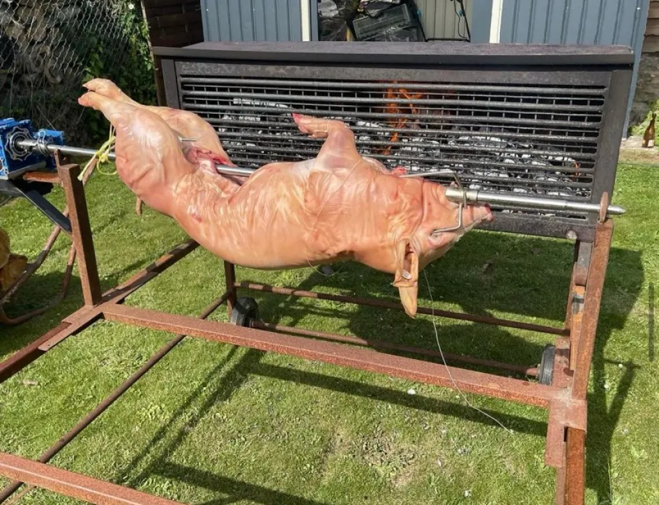 cochons de lait à Balagny-sur-Thérain près de Creil dans l'Oise 60